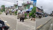 Rhinoceros in Residential Area: रिहायशी इलाके में दौड़ता दिखा गैंडा, वीडियो देख रह जाएंगे दंग